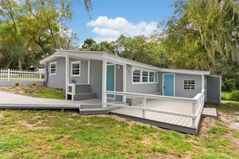 Villa ou maison à vendre à Ocklawaha, Floride: 3 chambres, 130.06 m2 № 1916355 - photo 3