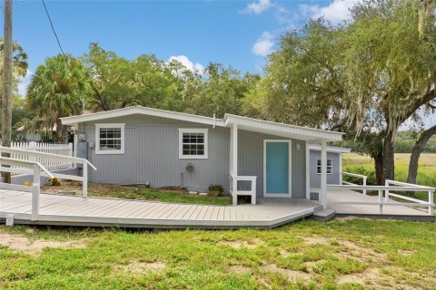 Villa ou maison à vendre à Ocklawaha, Floride: 3 chambres, 130.06 m2 № 1916355 - photo 1
