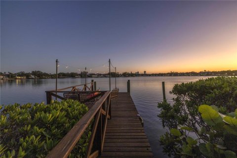 House in Saint Petersburg, Florida 3 bedrooms, 272.02 sq.m. № 1720139 - photo 4