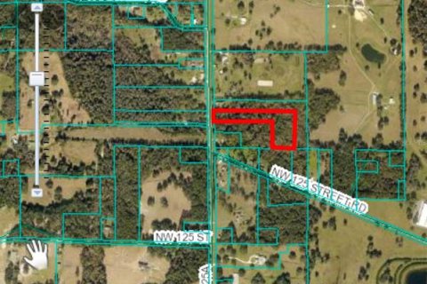 Land in Reddick, Florida № 1722469 - photo 1