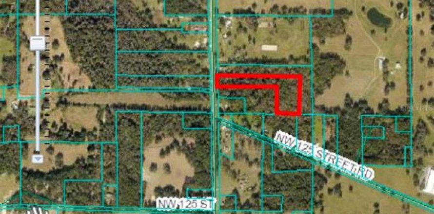 Land in Reddick, Florida № 1722469