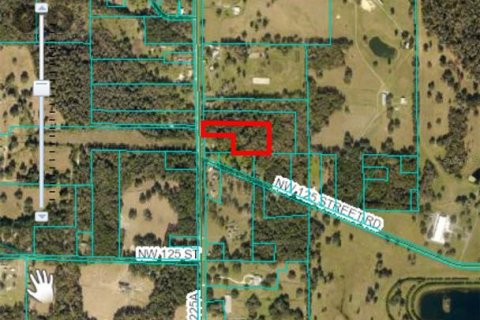 Land in Reddick, Florida № 1722469 - photo 2
