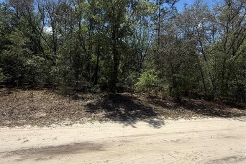 Land in Bronson, Florida № 2159105 - photo 3