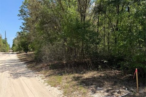 Land in Bronson, Florida № 2159105 - photo 2