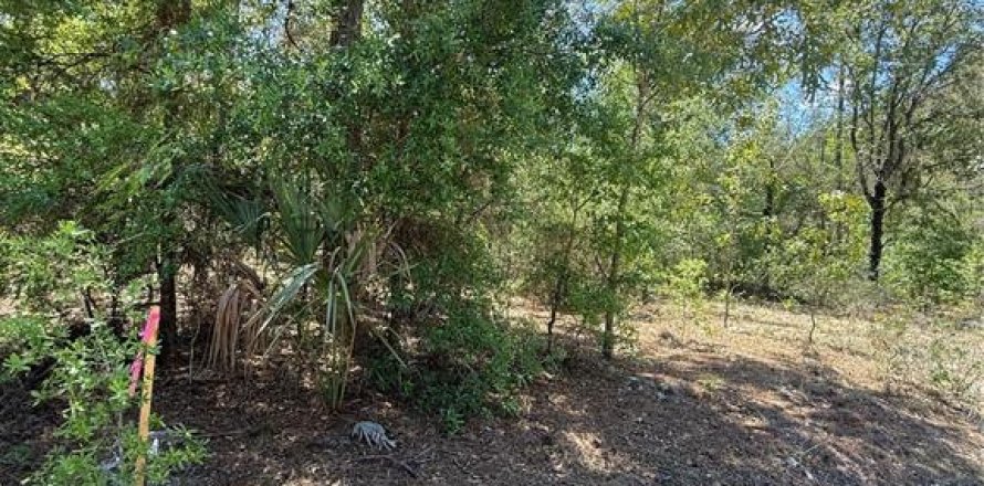 Land in Bronson, Florida № 2159105