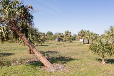 Land in Punta Gorda, Florida № 1555837 - photo 20