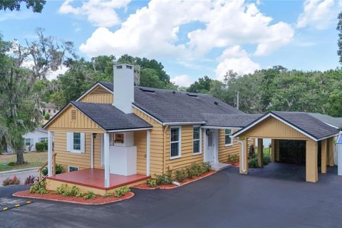 House in Mount Dora, Florida 4 bedrooms, 208.19 sq.m. № 2138766