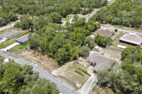 Land in Citrus Springs, Florida № 2204589 - photo 4