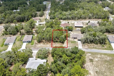 Land in Citrus Springs, Florida № 2204589 - photo 2