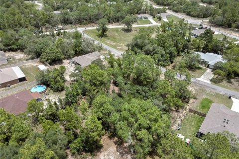 Land in Citrus Springs, Florida № 2204589 - photo 8