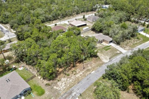 Land in Citrus Springs, Florida № 2204589 - photo 10