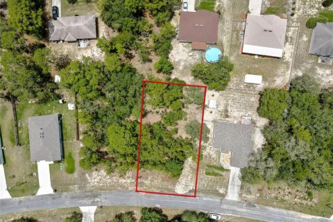 Land in Citrus Springs, Florida № 2204589