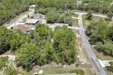 Land in Citrus Springs, Florida № 2204589 - photo 9