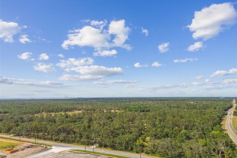 Commercial property in Wimauma, Florida 117.06 sq.m. № 1755203 - photo 29