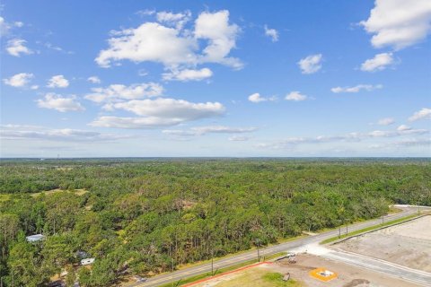 Commercial property in Wimauma, Florida 117.06 sq.m. № 1755203 - photo 27