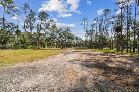 Commercial property in Wimauma, Florida 117.06 sq.m. № 1755203 - photo 5