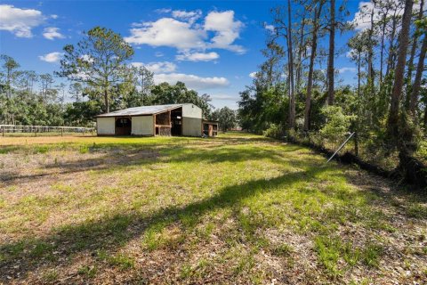 Commercial property in Wimauma, Florida 117.06 sq.m. № 1755203 - photo 11