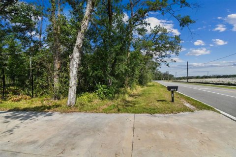 Commercial property in Wimauma, Florida 117.06 sq.m. № 1755203 - photo 21