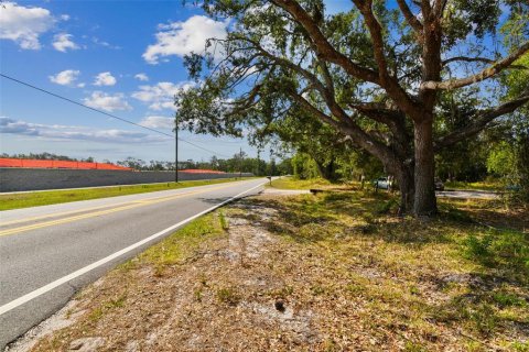Commercial property in Wimauma, Florida 117.06 sq.m. № 1755203 - photo 18