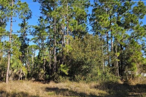 Land in Lehigh Acres, Florida № 2166662