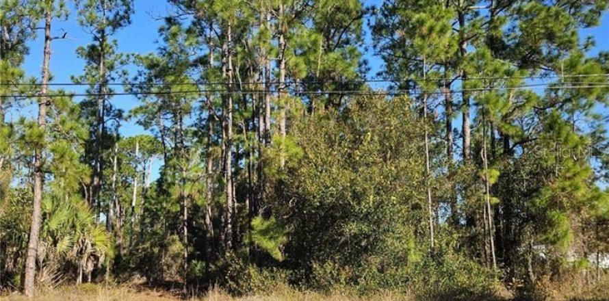 Land in Lehigh Acres, Florida № 2166662