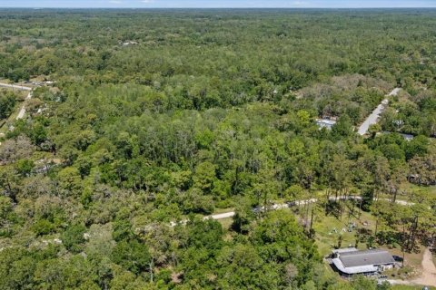 Terreno en venta en New Port Richey, Florida № 1637784 - foto 7