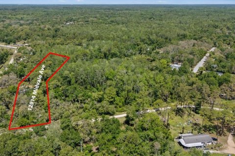 Terreno en venta en New Port Richey, Florida № 1637784 - foto 1