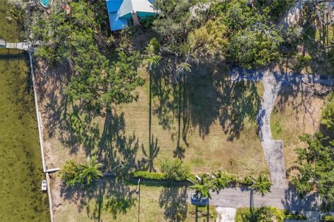 Land in Bradenton, Florida № 2099497 - photo 14