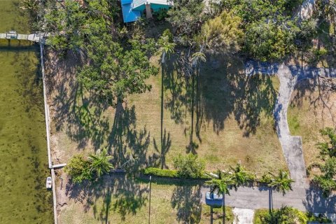 Land in Bradenton, Florida № 2099497 - photo 4