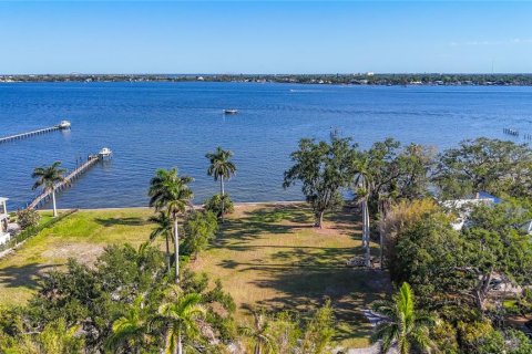 Land in Bradenton, Florida № 2099497 - photo 6