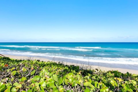 Condo in Palm Beach, Florida, 2 bedrooms  № 2173615 - photo 27