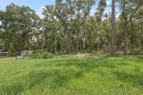 Casa en alquiler en Citrus Springs, Florida, 4 dormitorios, 146.79 m2 № 1872948 - foto 29