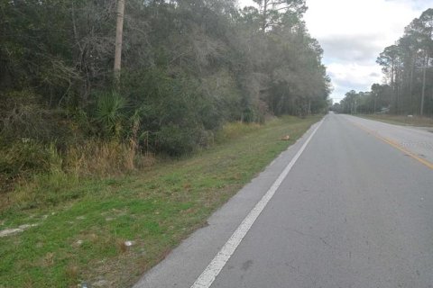 Land in Fort MC Coy, Florida № 359199 - photo 1