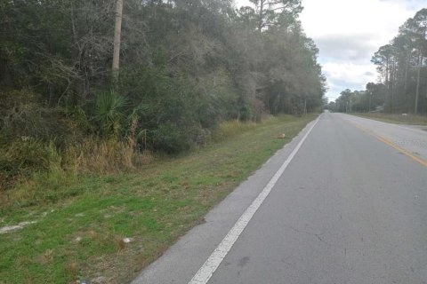 Land in Fort MC Coy, Florida № 359199 - photo 6