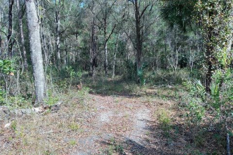 Land in Fort MC Coy, Florida № 359199 - photo 2