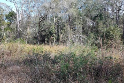 Land in Fort MC Coy, Florida № 359199 - photo 3
