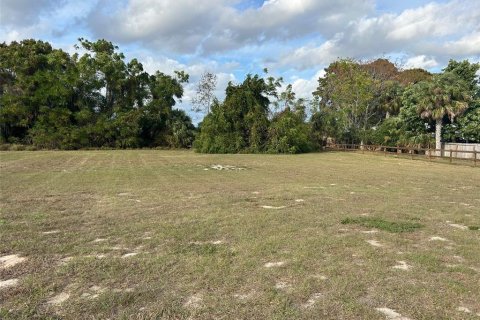 Terrain à vendre à Leesburg, Floride № 2211798 - photo 6