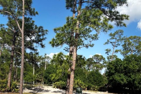 Land in Clewiston, Florida № 1705666 - photo 3