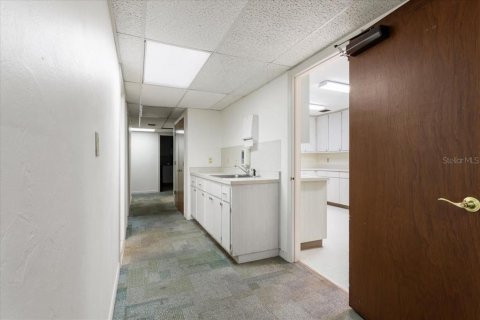 Immobilier commercial à louer à Gainesville, Floride: 423.45 m2 № 2134003 - photo 12