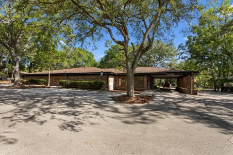 Immobilier commercial à louer à Gainesville, Floride: 423.45 m2 № 2134003 - photo 4