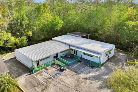 Immobilier commercial à vendre à Bunnell, Floride: 351.08 m2 № 1598059 - photo 2