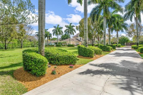 Villa ou maison à vendre à Wellington, Floride: 7 chambres, 684.6 m2 № 2146014 - photo 6