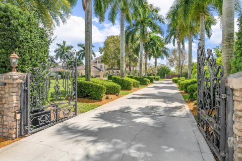 Villa ou maison à vendre à Wellington, Floride: 7 chambres, 684.6 m2 № 2146014 - photo 4