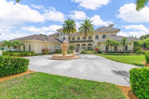 Villa ou maison à vendre à Wellington, Floride: 7 chambres, 684.6 m2 № 2146014 - photo 7
