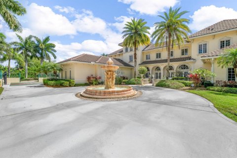 Villa ou maison à vendre à Wellington, Floride: 7 chambres, 684.6 m2 № 2146014 - photo 9