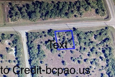 Terrain à vendre à Palm Bay, Floride № 1935425 - photo 3