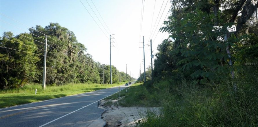 Land in Leesburg, Florida № 1217747