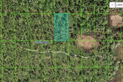 Terrain à Lake Wales, Floride № 2234008