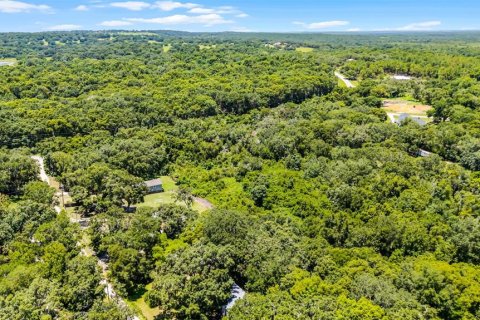 Land in Clermont, Florida № 1840176 - photo 21