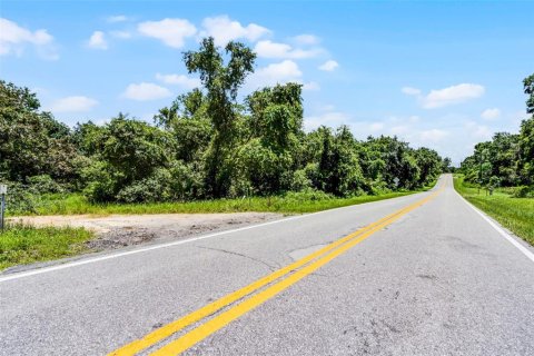 Land in Clermont, Florida № 1840176 - photo 2